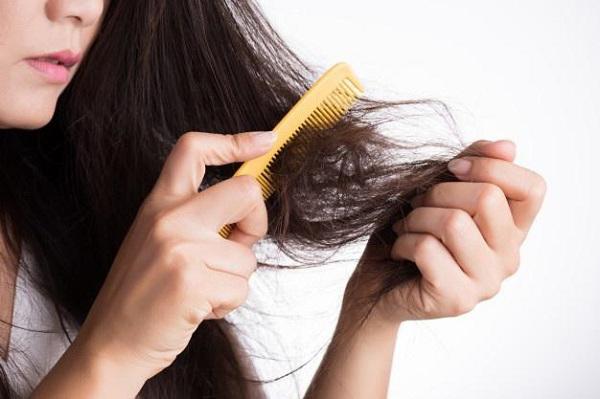Những cách bảo vệ tóc khỏi hư tổn mà bạn không thể bỏ qua
